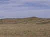 bighorn02.JPG (39748 bytes)