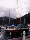 boats02.JPG (33897 bytes)