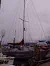 boats05.JPG (28079 bytes)