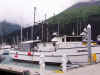 boats12.JPG (66313 bytes)