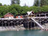 cove04.JPG (109161 bytes)