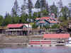 cove06.JPG (98613 bytes)