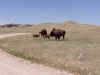 custer14.JPG (62364 bytes)