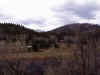 deadwood03.JPG (58048 bytes)