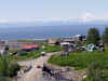 homer03.JPG (72358 bytes)