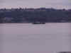sea04.JPG (38024 bytes)