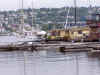 sea15.JPG (86656 bytes)