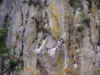 shannon10.JPG (79233 bytes)
